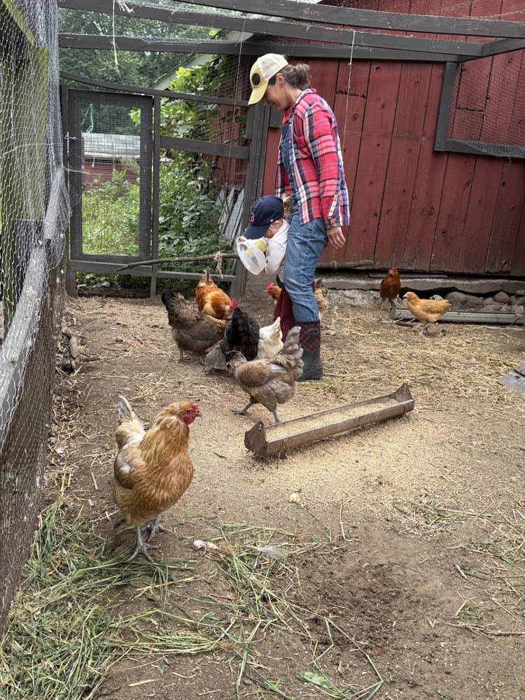Jenny Peterson feeding chickens with a young helper