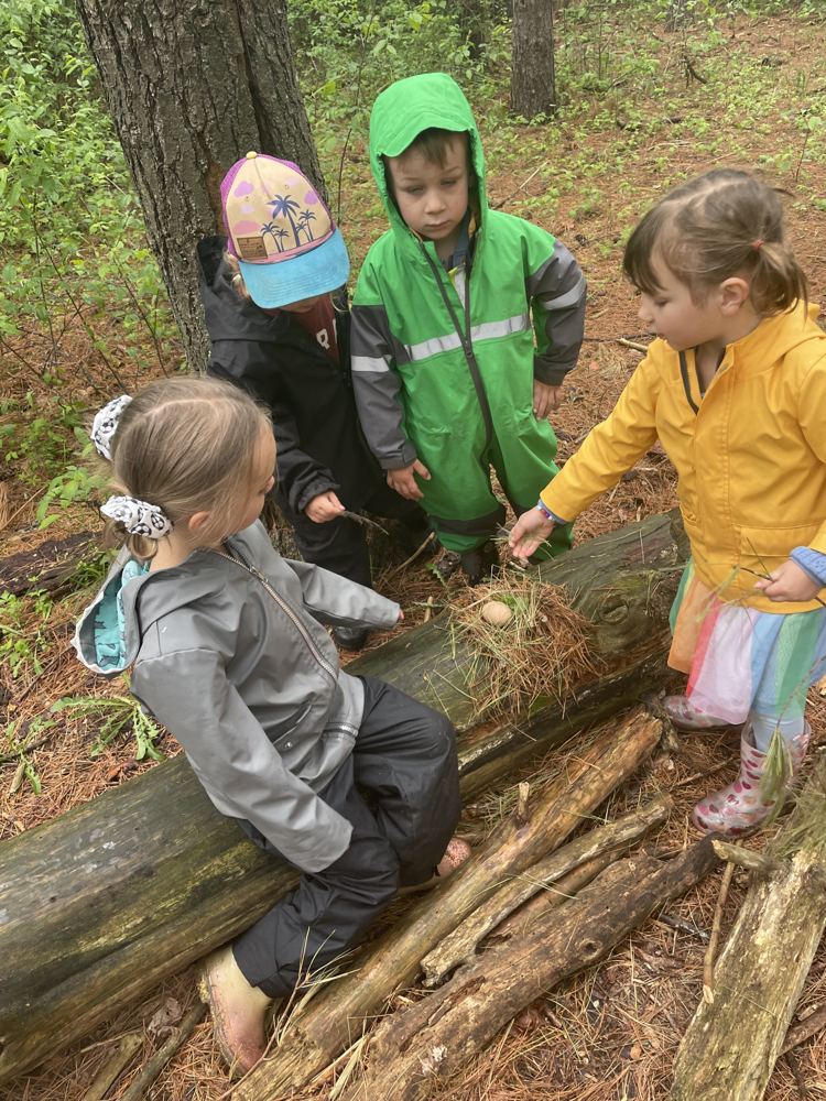 Young children in rain gear building a nest on a log in the woods